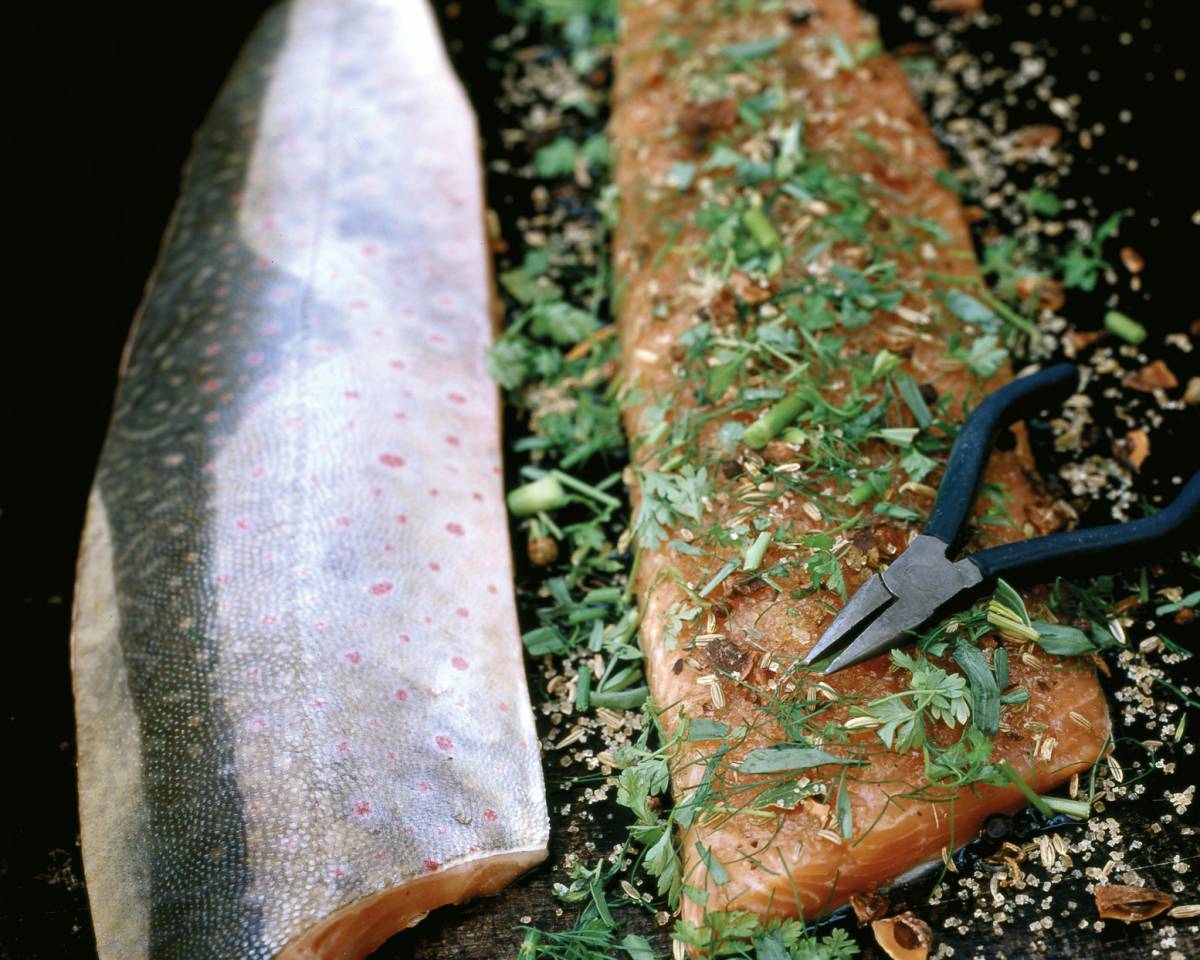 Aus dem Süßwasser - Fischmenü mit heimischen Süßwasserfischen und Flusskrebsen