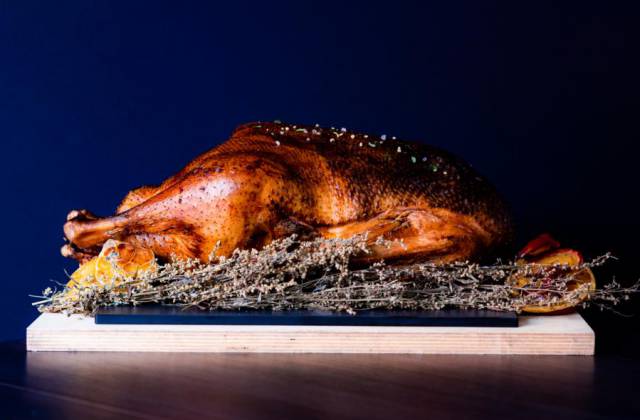 THANKSGIVING